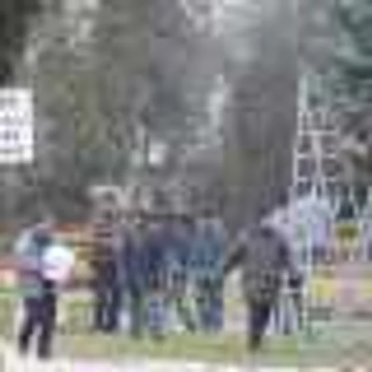 Muncitorii primăriei Suceava împodobesc oraşul