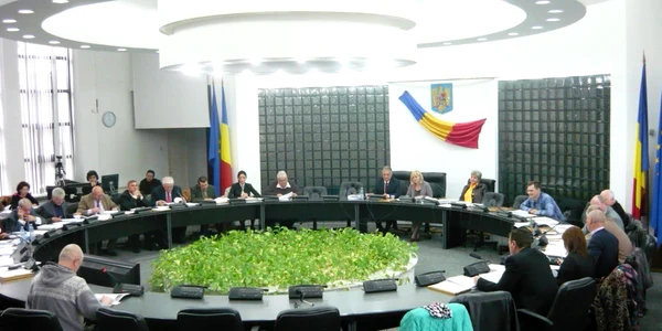 consiliul local tulcea