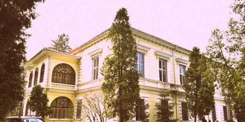 hunedoara zam