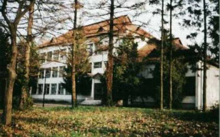 Satu Mare: Cercetarea cerşetoare – Revista presei locale