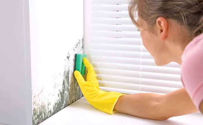 Cum prevenim igrasia - Foto: Arhiva Click!