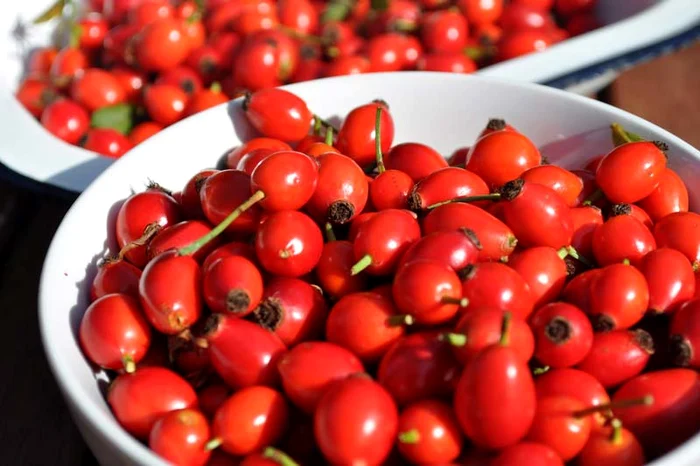 
    Ce beneficii au măceşele  