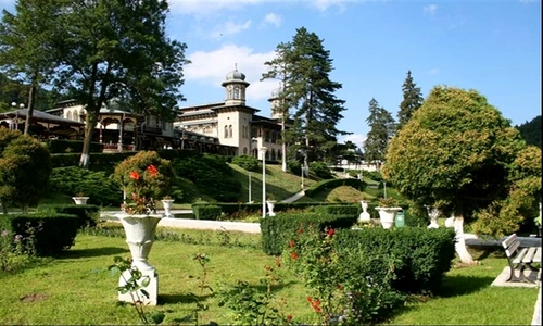 1 82232 original jpg jpeg