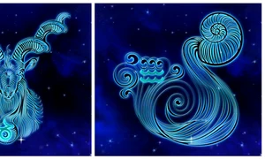 BeFunky collage 2025 12 10T231648 691 jpg