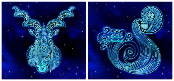 Compatibilitatea dintre Vărsător și Capricorn / FOTO: Colaj Pixabay