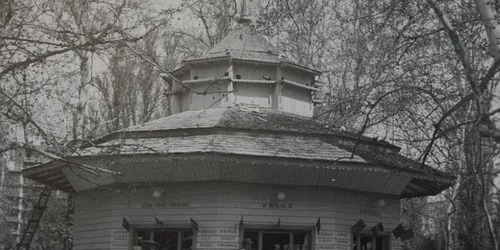 foto 1 cismigiu GABI6811 620x465 jpeg