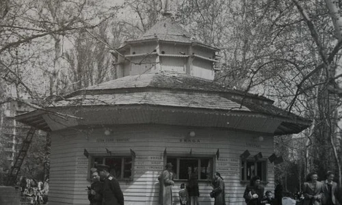 foto 1 cismigiu GABI6811 620x465 jpeg