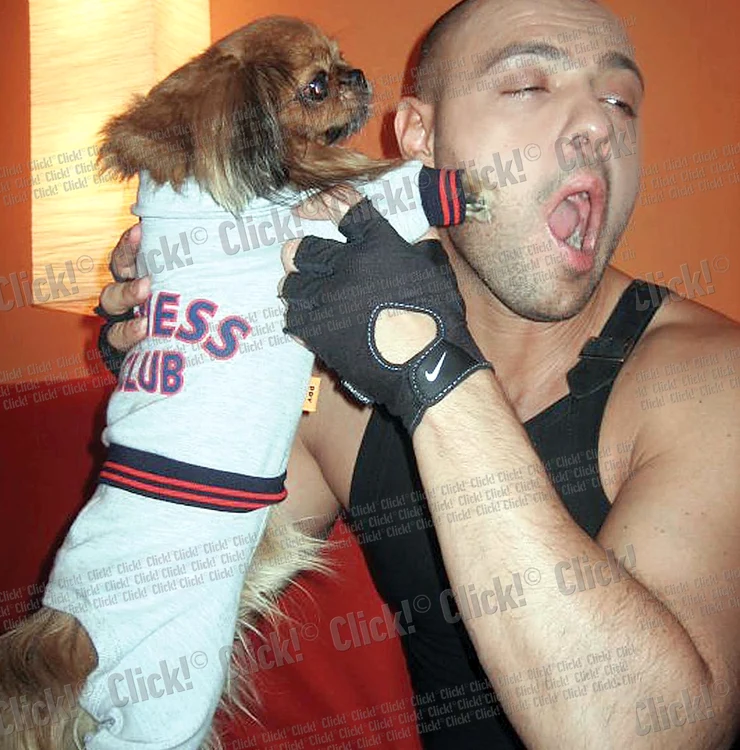 
    Pechinezul, în vârstă de 15 ani, a fost "adoptat" de Mitoşeru atunci când s-a cuplat cu Noemi.  