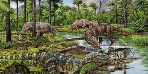 dinozauri pitici