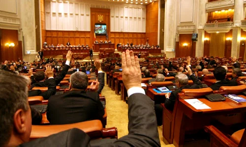 parlamentari care voteaza jpeg
