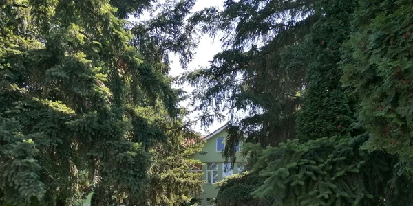 colegiul naţional ion minulescu slatina - foto alina mitran