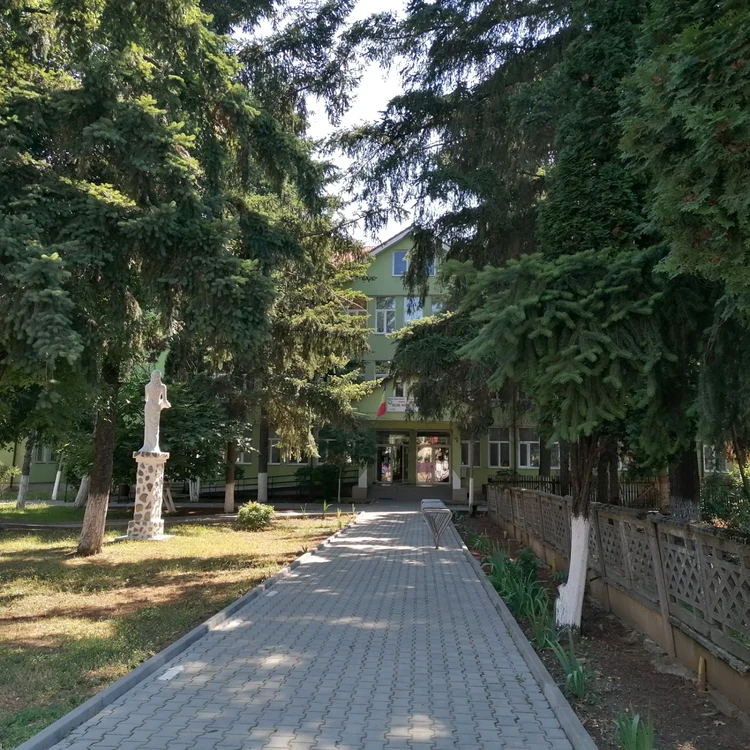 Colegiul Naţional „Ion Minulescu“ Slatina FOTO: A.M.