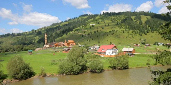 domeniu