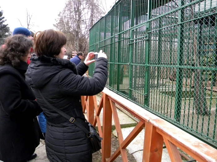 Animalele relocate la Zoo Ploieşti au devenit o atracţie incontestabilă. FOTO Dana Mihai