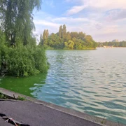 Lacul Herastrau Primaria Bucuresti jpg