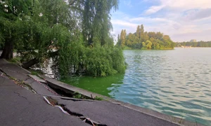 Lacul Herastrau Primaria Bucuresti jpg