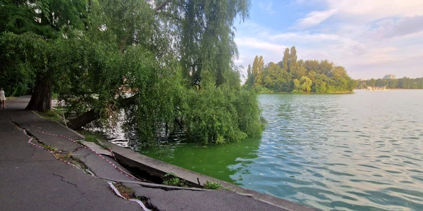 Lacul Herastrau Primaria Bucuresti jpg
