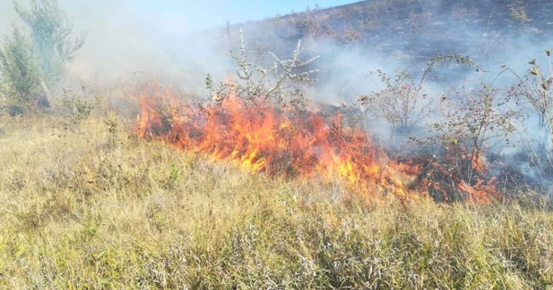 Title Incendiu de vegetaţie lângă Iaşi   
