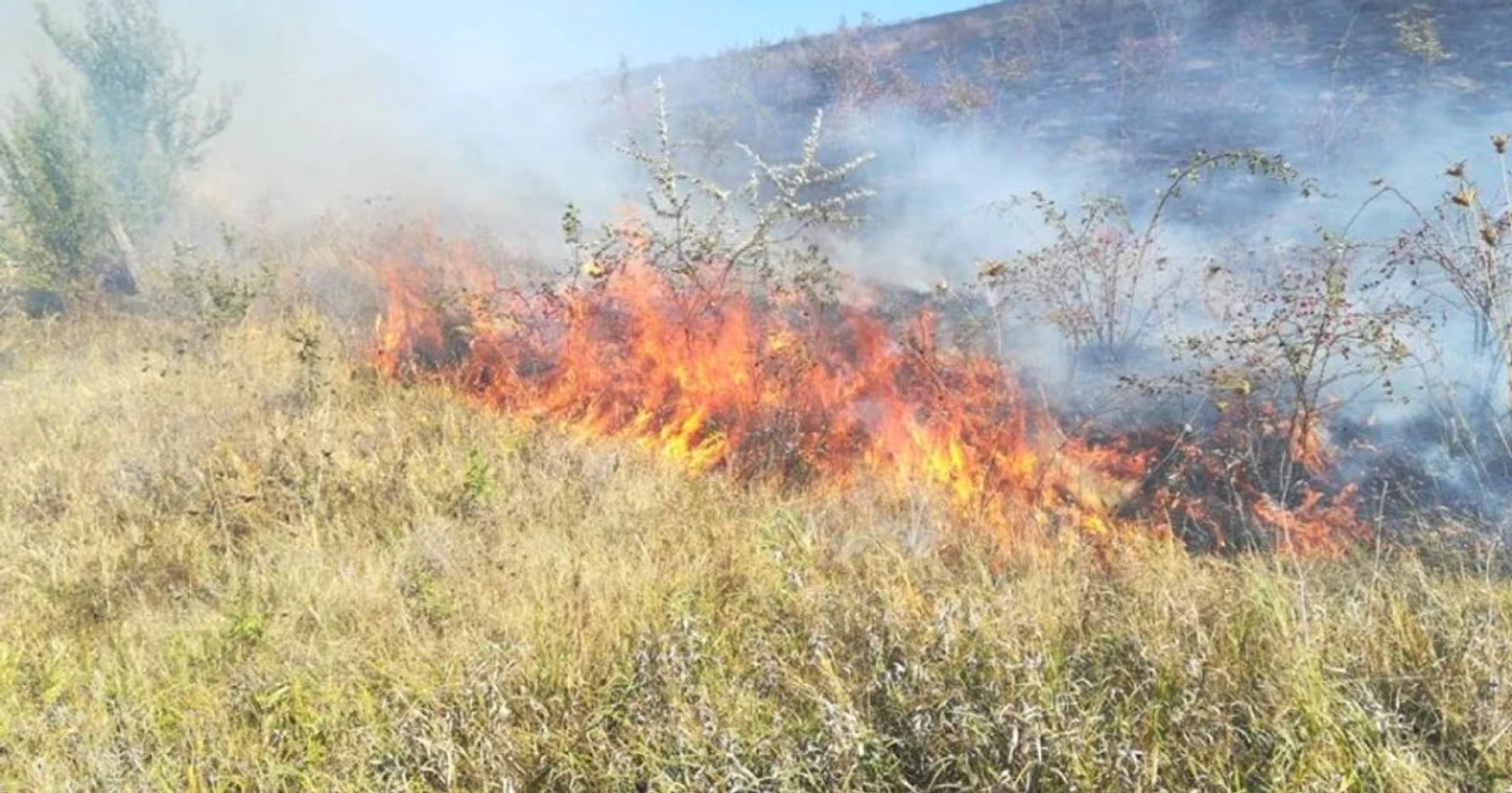 Focul se mainifestă violent pe mai multe hectare