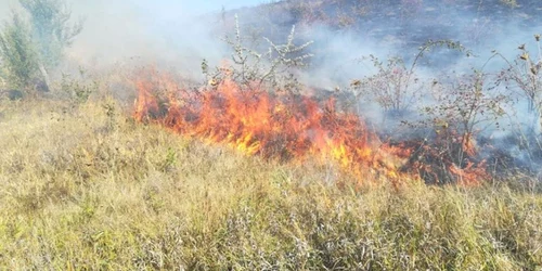 Title Incendiu de vegetaţie lângă Iaşi   