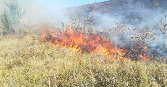 Title Incendiu de vegetaţie lângă Iaşi   