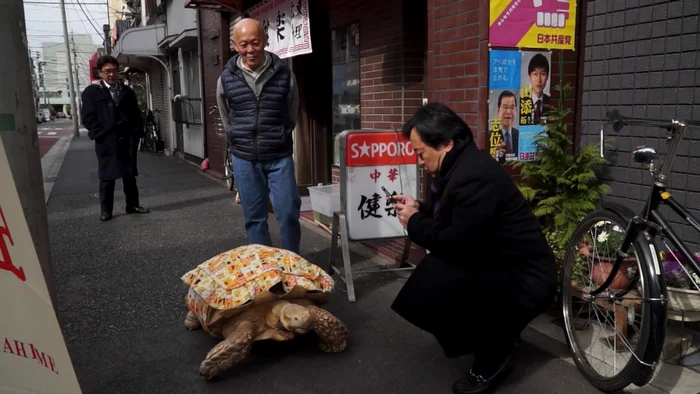 Bătrânul se plimbă cu țestoasa de la 15.00 până la 17.30 - foto Gettyimages