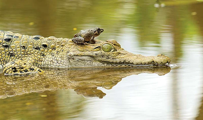 “Hai că meriţi un masaj capilar”