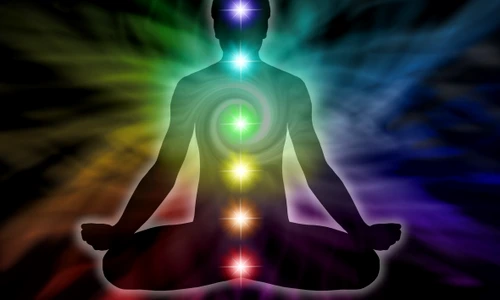 1 shutterstock 220462024 jpg jpeg