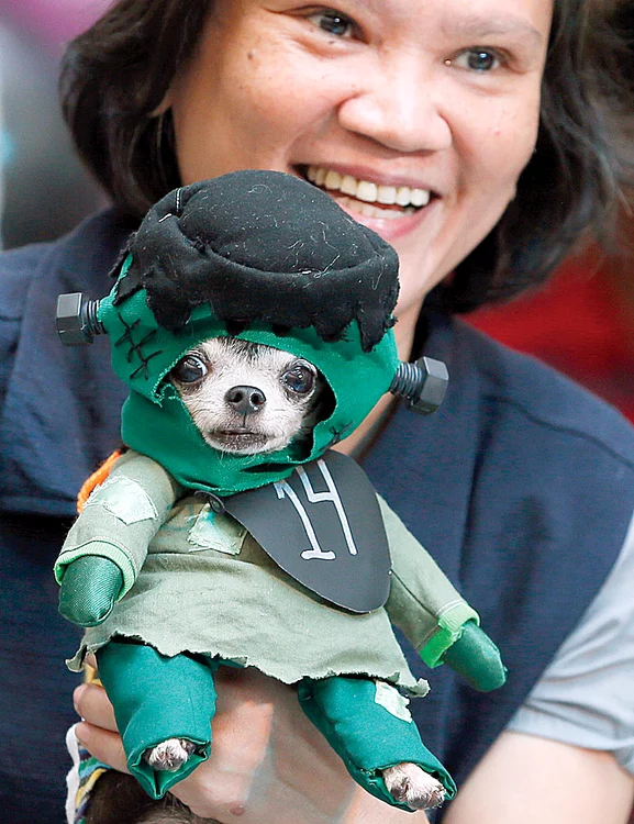 “Uf, şi anul ăsta tot Frankenstein...”