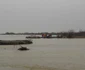 salvare oi