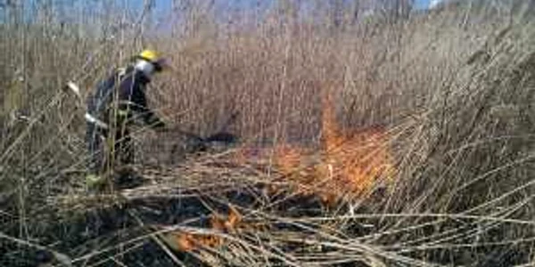Pompierii au intervenit cu două autospeciale