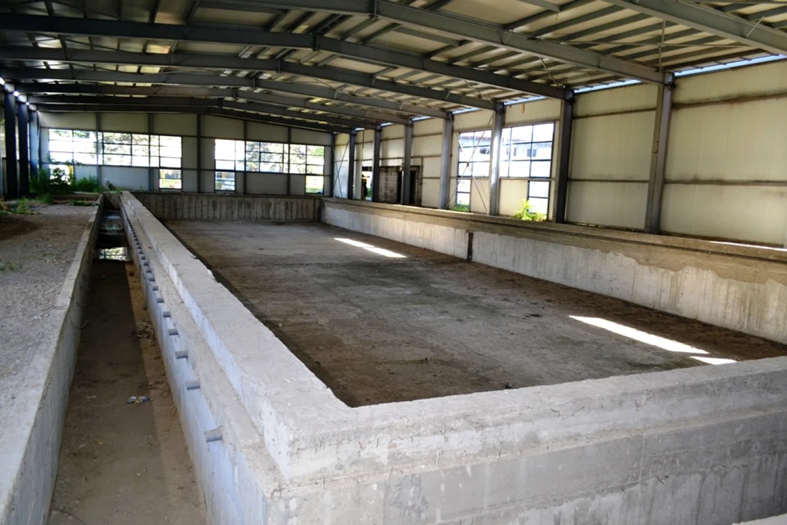 Aşa arată ştrandul din Tecuci după ce s-au investit 3 milioane de lei în reabilitarea lui Foto: Valentin Trufaşu