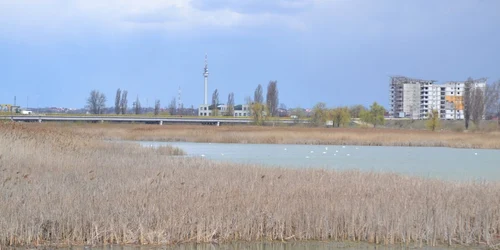 Au început lucrările la Insula de Agrement din Bacău FOTO Mircea Merticariu