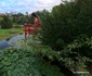 Orașul Jibou  Foto Daniel Guță ADEVĂRUL 102 jpg