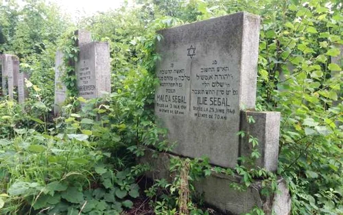 Cimitirul Evreiesc Sărata din Bacău FOTO Mircea Merticariu