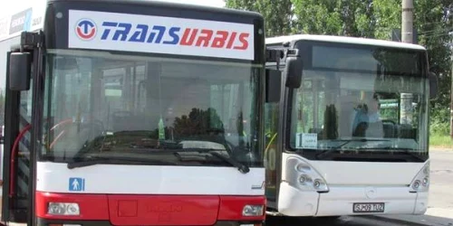 autobuze transurbis