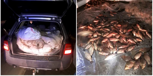 braconaj piscicol in salaj foto jandarmeria salaj