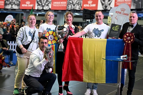 Bucovina Kira Kiralina