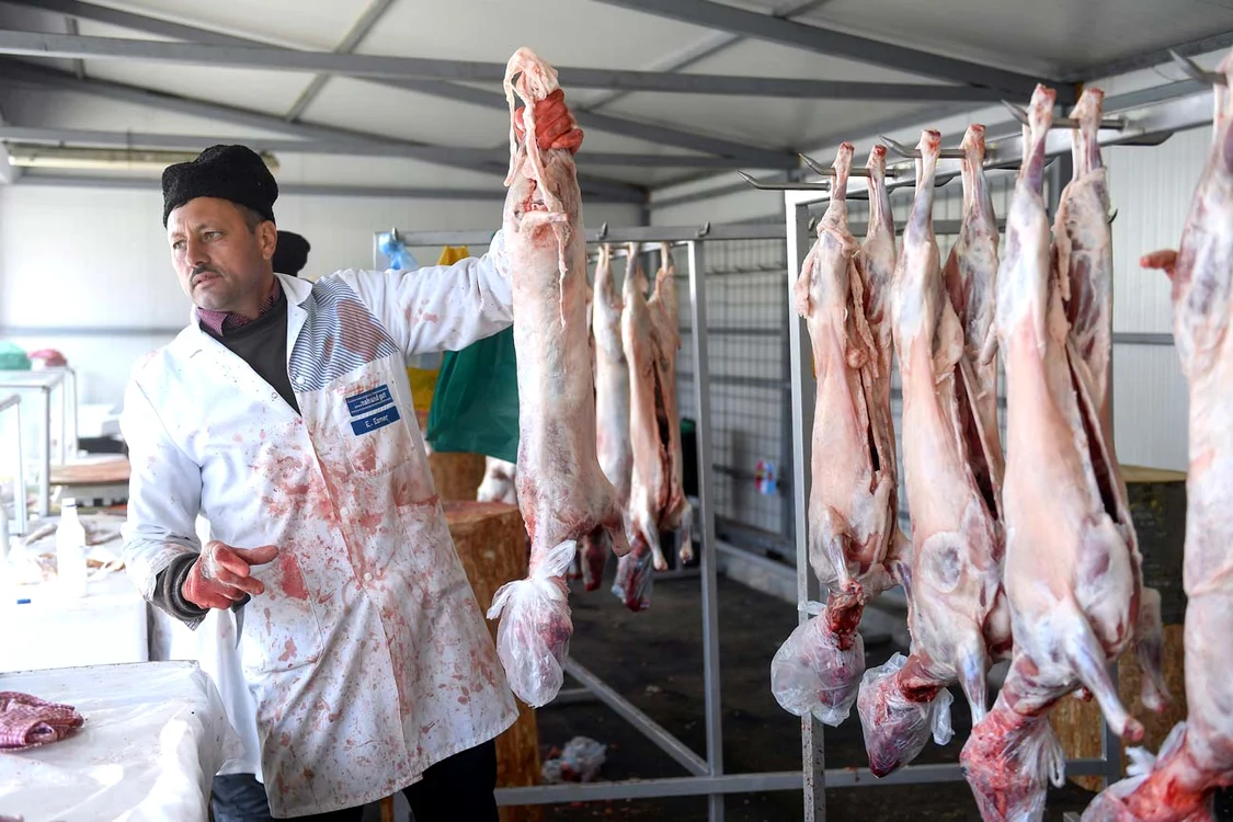 Carnea de miel, mai scumpă an de an (FOTO: InquamPhotos)