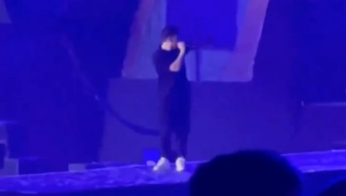 DJ Hardwell și-a anulat spectacolul, în fața fanilor / foto: TikTok