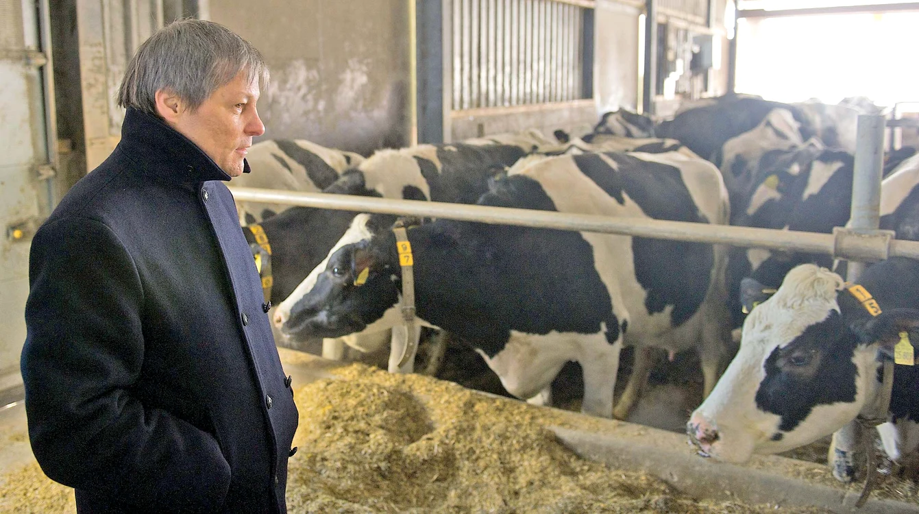 
    De profesie inginer agronom,  Cioloş a fost ministru al Agriculturii  în Guvernul Tăriceanu  