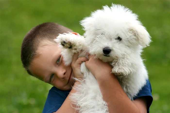 Copilul tău trebuie să-şi asume responsabilităţi dacă vrea un animal de companie