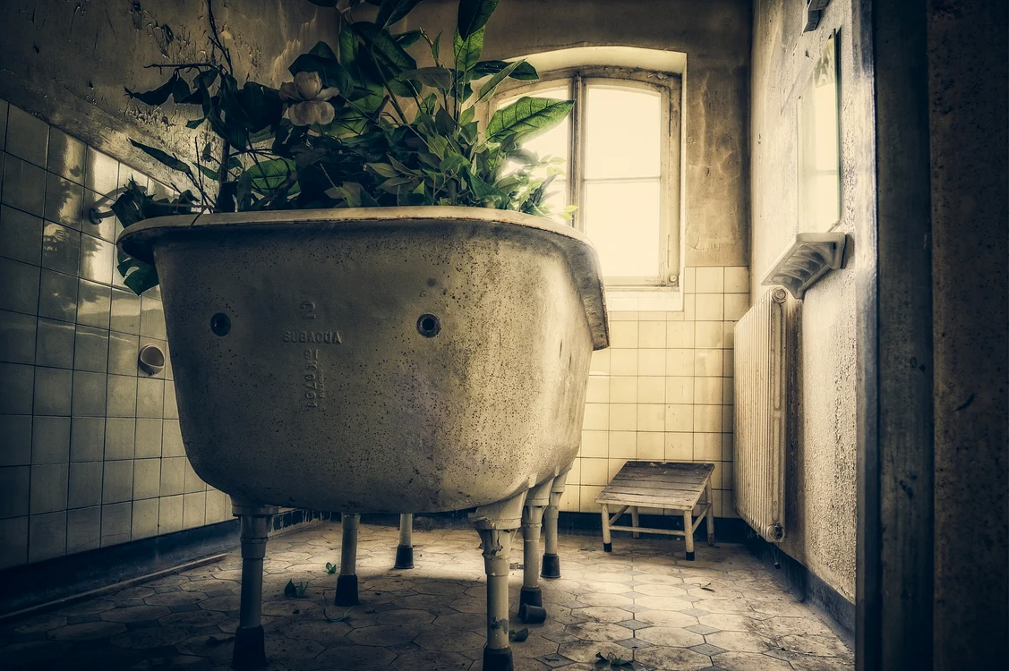 Descoperirea sinistră făcută de un instalator în baia unei case vechi / foto: Pixabay