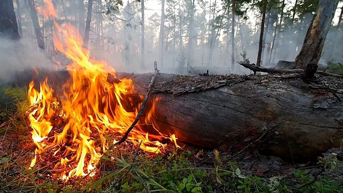 Rusia a înregistrat în ultimii ani mai multe recorduri de căldură, precum şi incendii uriaşe şi neobişnuite.  Foto: Ria Novosti