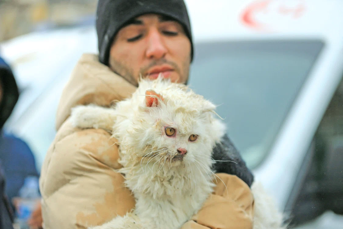 De sub dărâmături sunt  scoase inclusiv animale. Foto: Profimedia