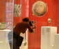 Imagini cu câteva dintre cele 101 artefacte de la expoziţia-eveniment "Comorile Chinei" FOTO Marian Iliescu
