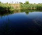fotografii in parcul natural vacaresti foto razvan baltaretu/adevarul