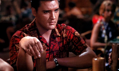 profimedia 0154412382 (1) jpg