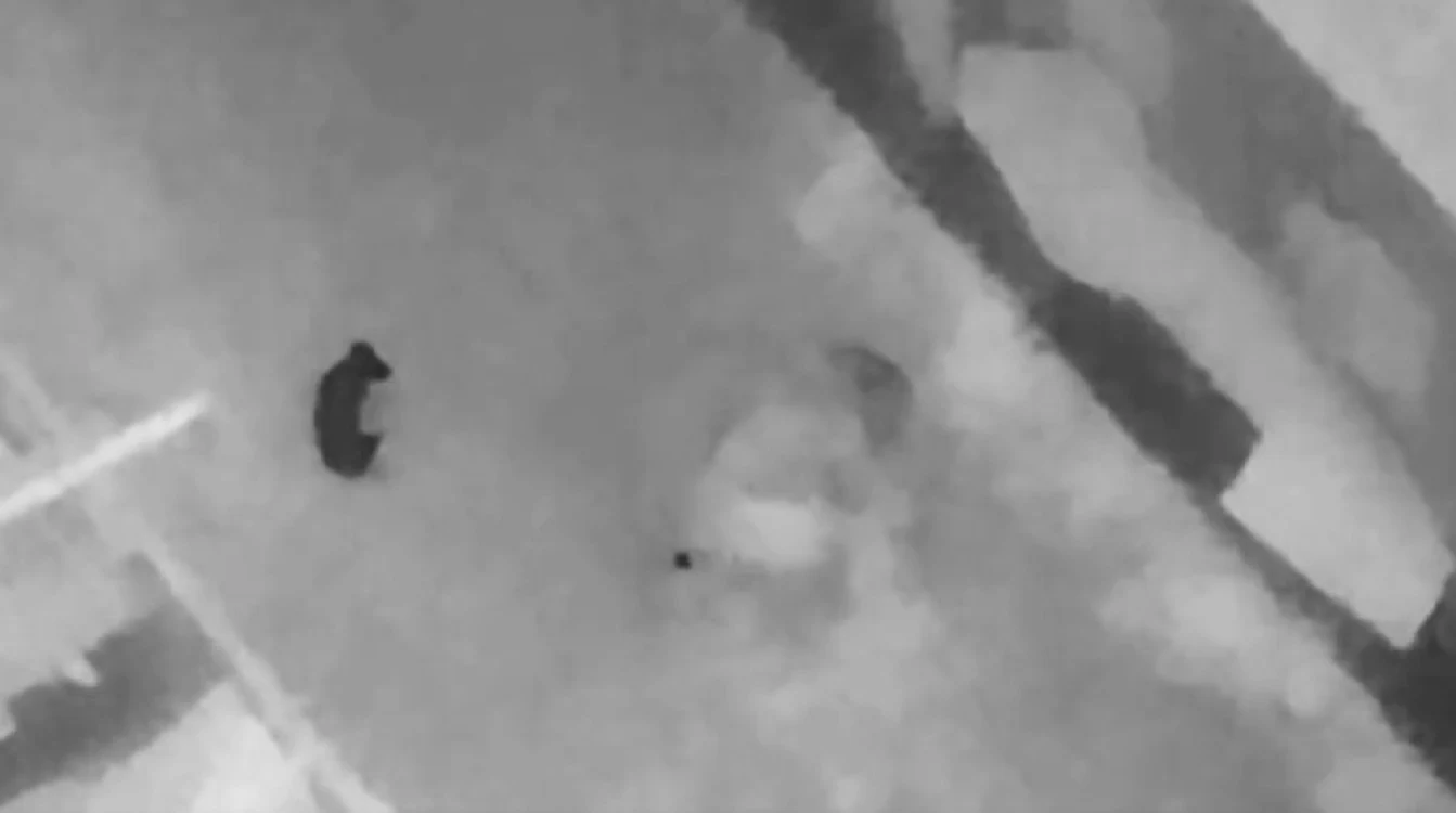 Forțele invadatoare ruse apelează la „pelerine izotermice”. Foto Captură video Twitter