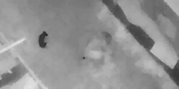 Forțele invadatoare ruse apelează la „pelerine izotermice. Foto Captură video Twitter jpg